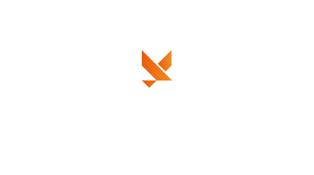 Logo Panoris tactical video